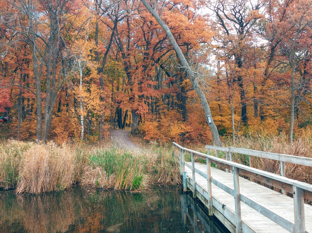 Lake Maria State Park景点图片