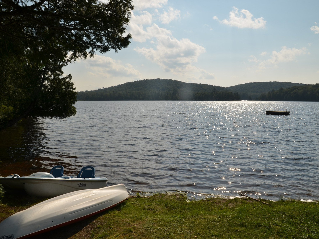 Kearney旅游攻略图片