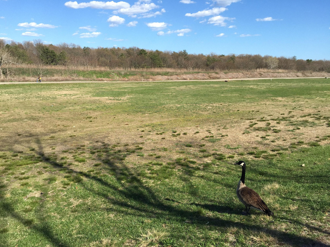 Holtsville旅游攻略图片