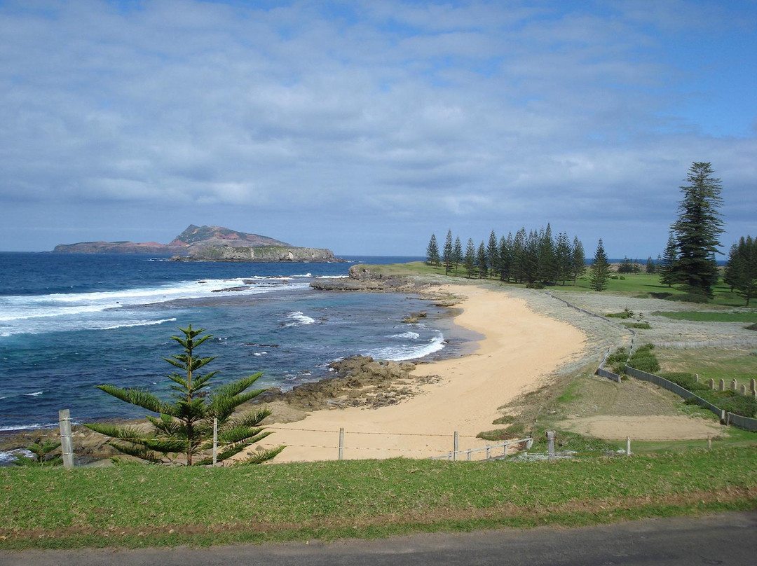 Pinetree Tours-诺福克岛必去景点