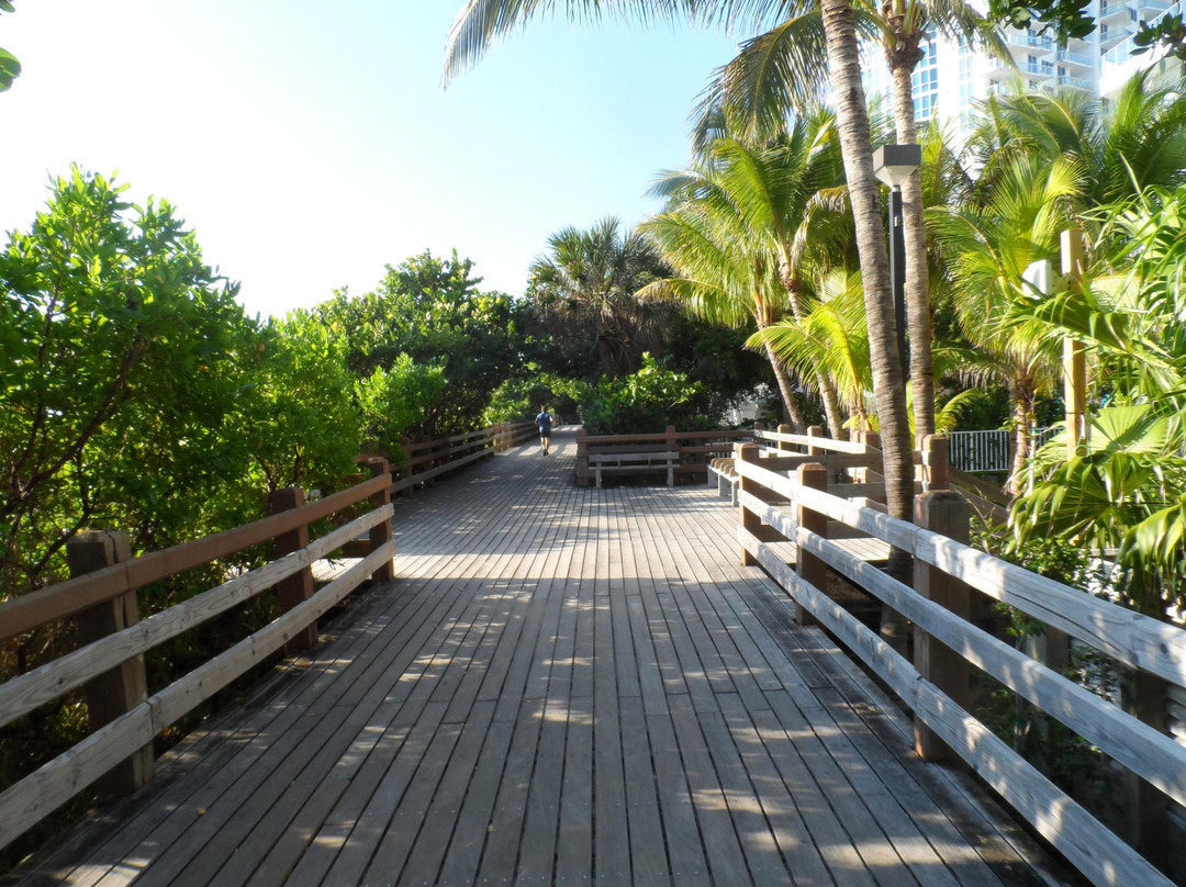 迈阿密沙滩浮桥景点图片