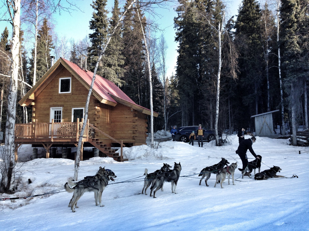 Squid Acres Kennel Dogsled Tours景点图片