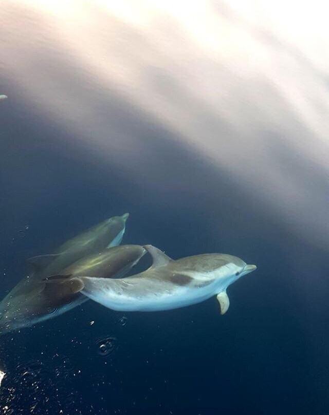Vip Sailing Taormina-Giardini Naxos必去景点