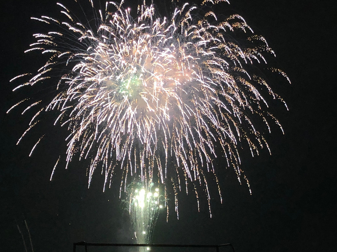 Edogawa Fireworks景点图片