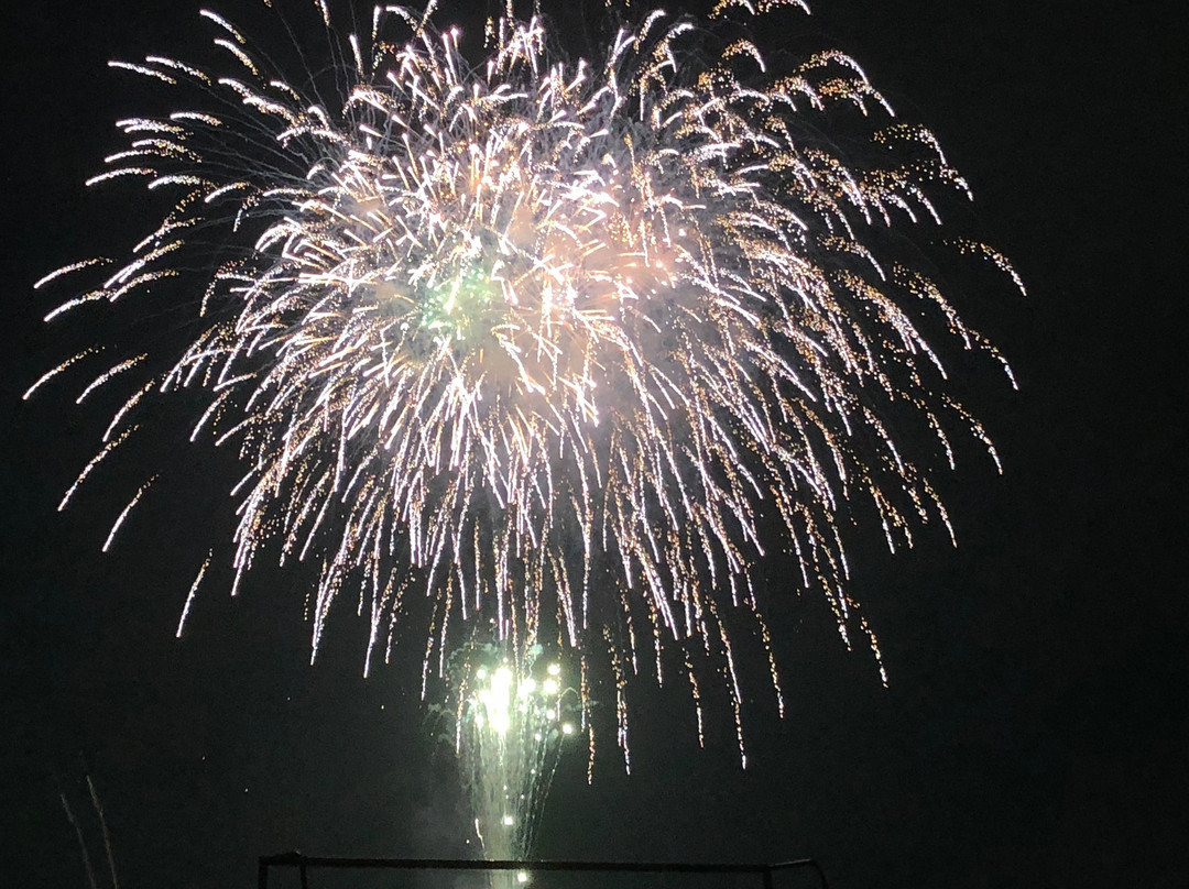 江戸川区旅游景点-Edogawa Fireworks