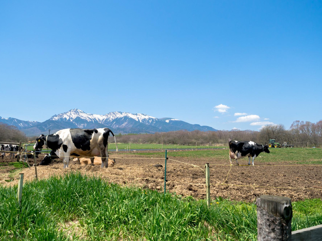 Takizawa Ranch景点图片