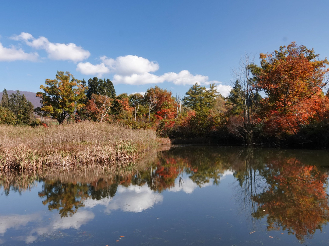 Buna no Satoyama Komichi景点图片