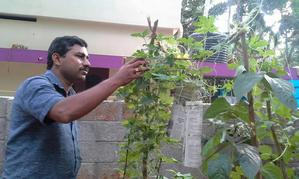 Thriphala Ayurveda Panchakarma Clinic-Chowara必去景点