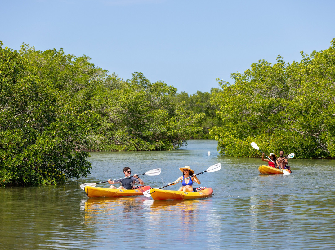 SUP Englewood - Don Pedro Island Location