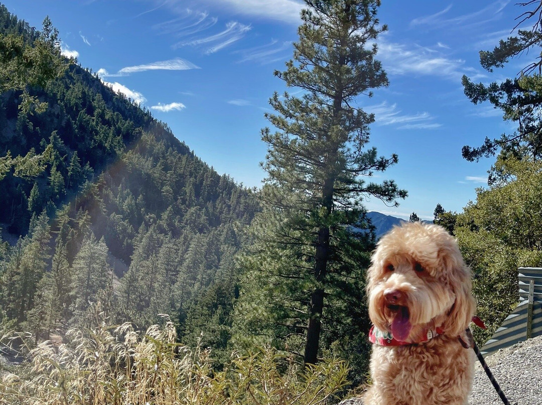 Old Baldy-Wimberley必去景点