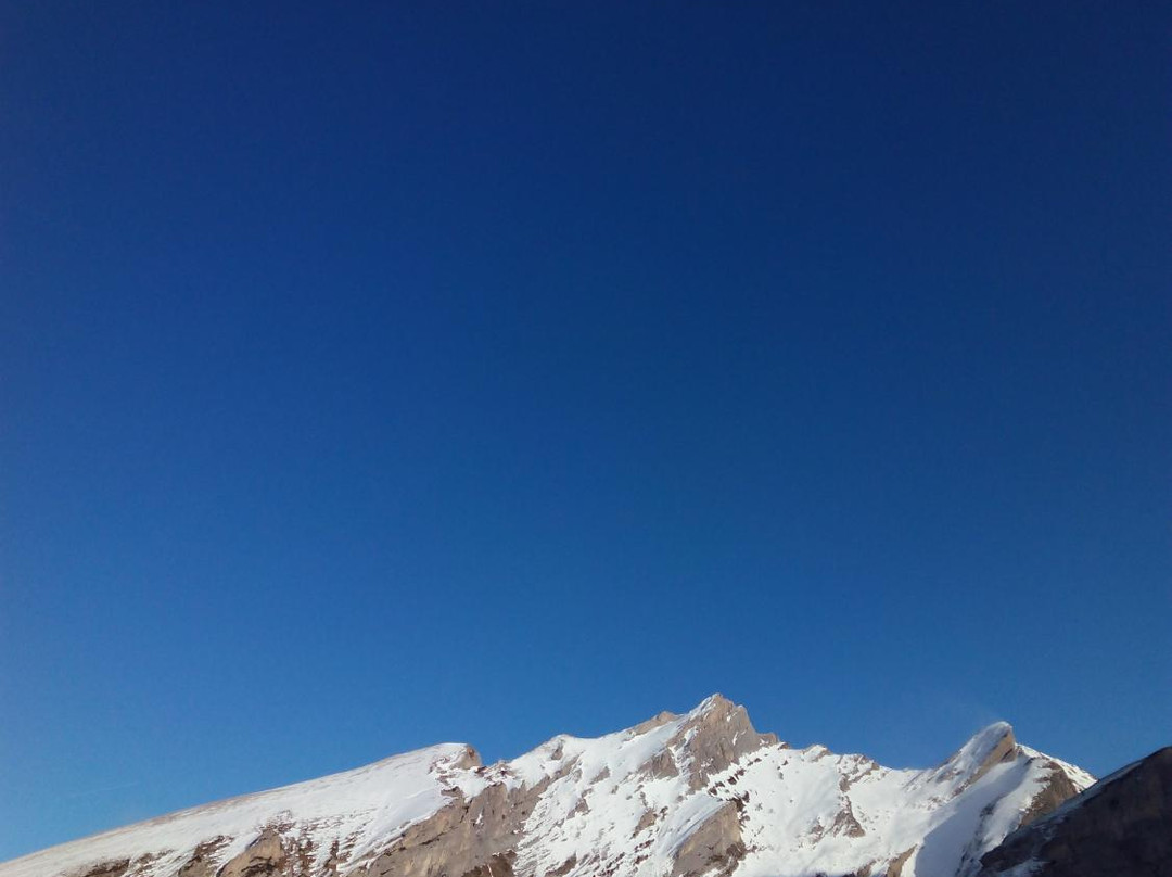 L'aventure Nordique Pyrénées景点图片