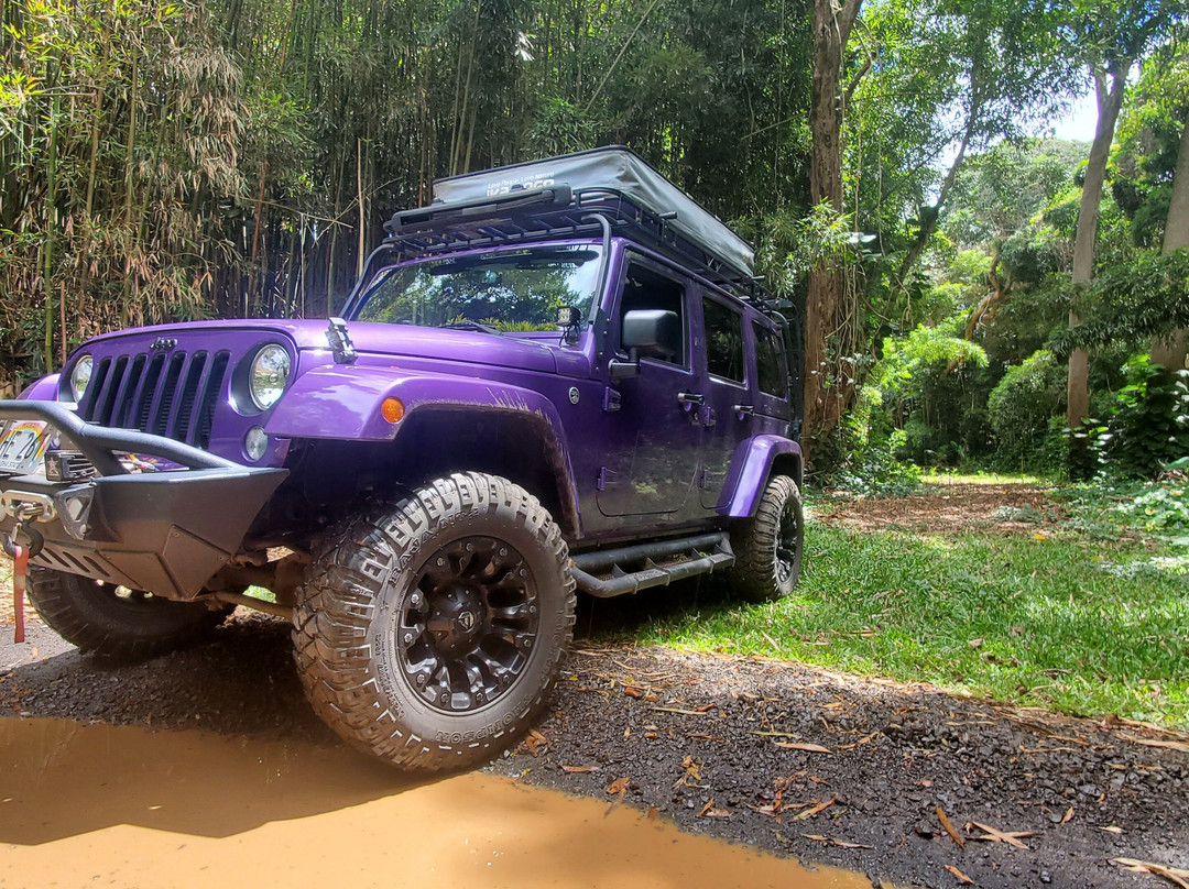 Ride My Jeep Maui