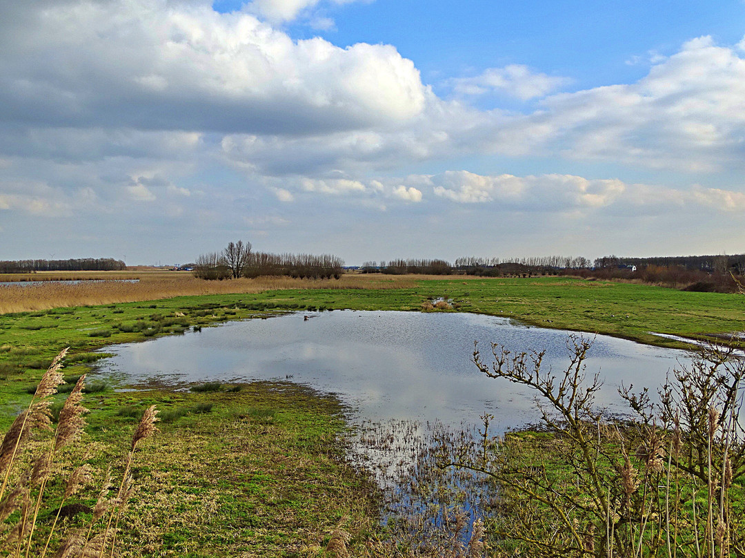 De Roode Weel景点图片