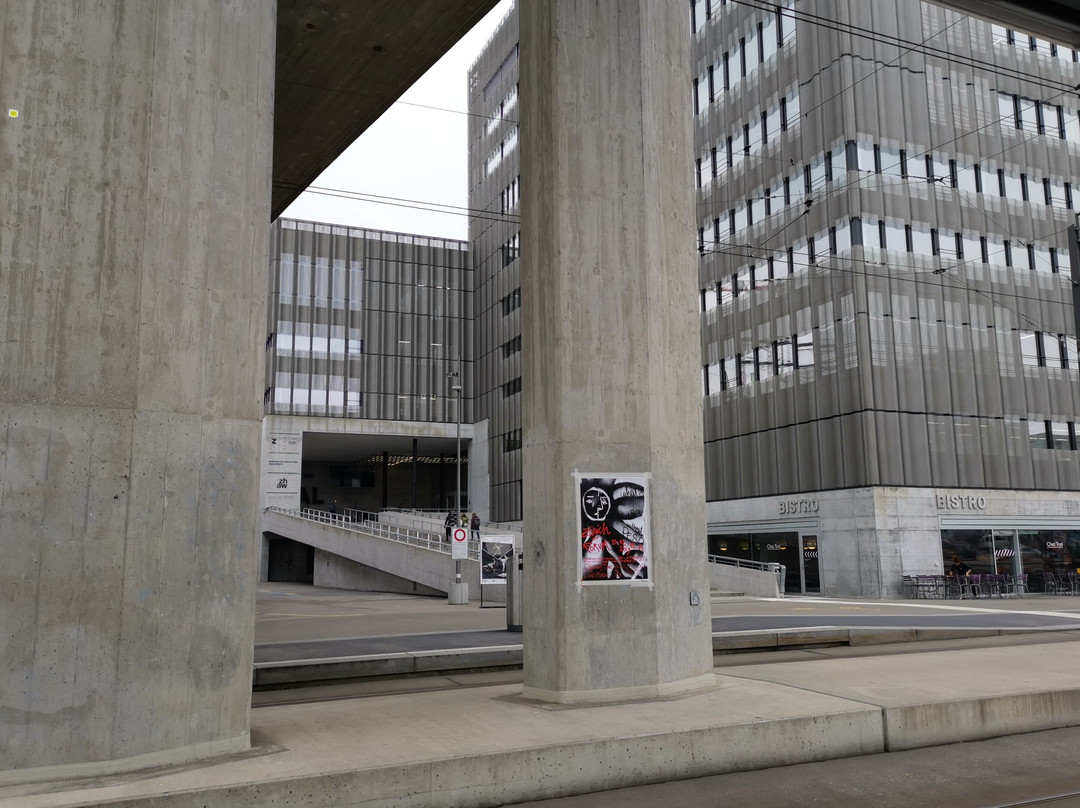 Der Nachtwanderer-苏黎世必去景点