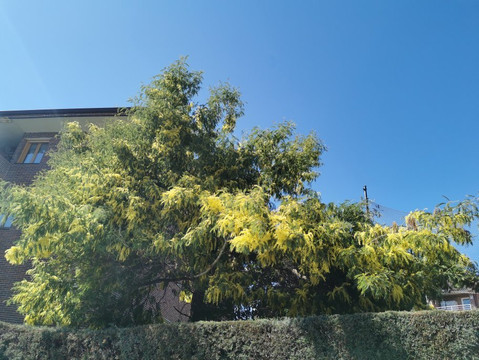 Parquelagos, Torrelodones, Galapagar, La Navata, Circular-Galapagar必去景点