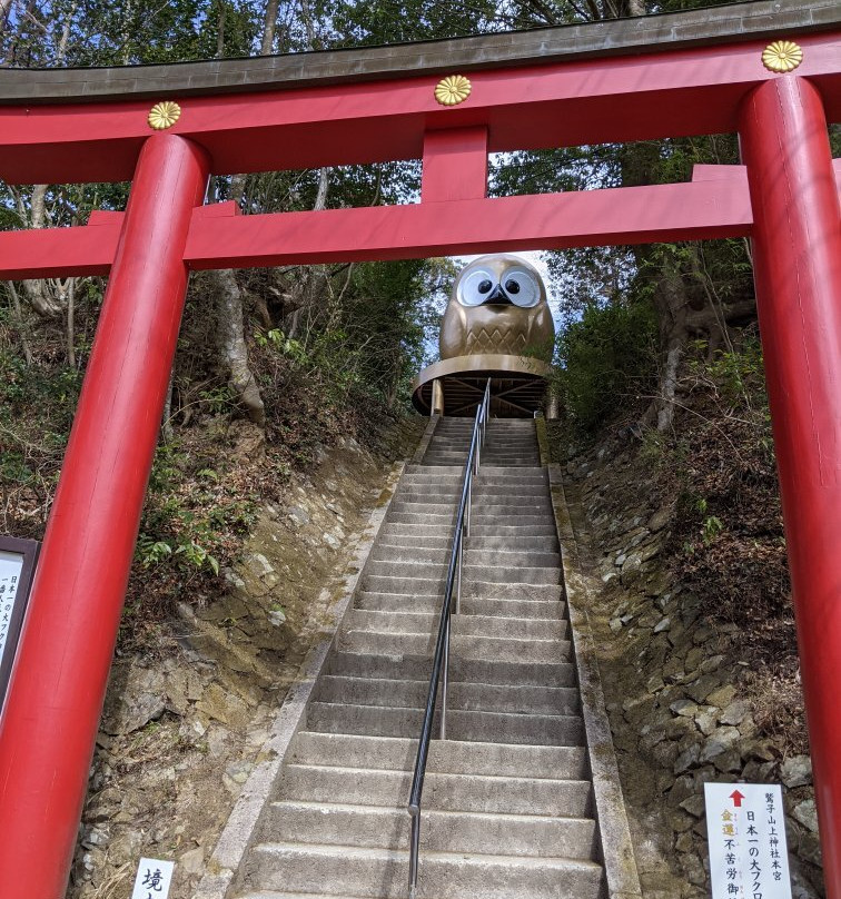 Torinokosan Shinto Shrine景点图片