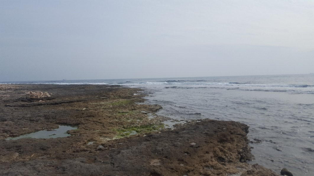 Plage du Couronne Vieille景点图片
