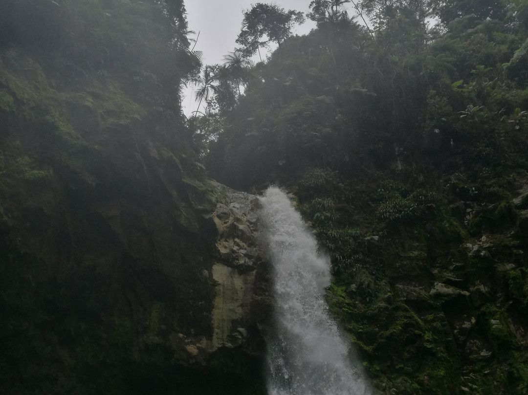 Catarata Río Agrio景点图片