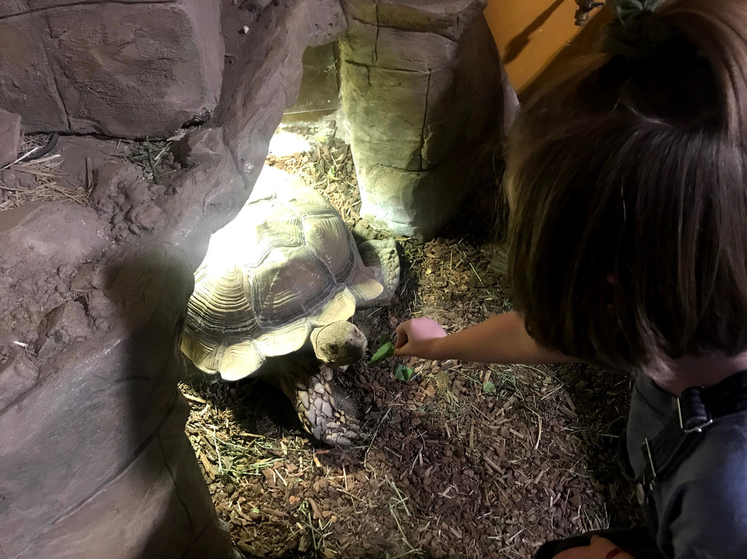 Layton Aquarium & Wildlife Encounters景点图片