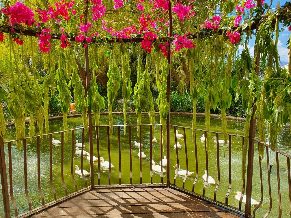 Zonnevanger Guesthouse主图