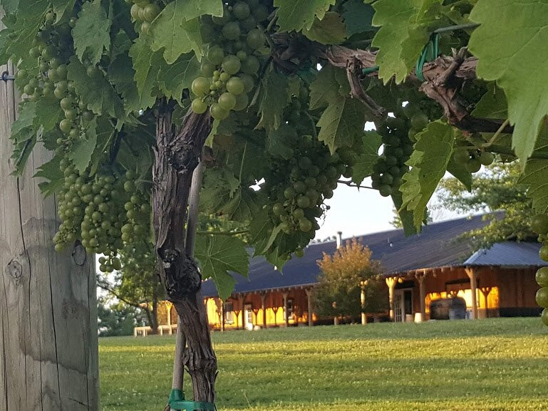 Holtkamp Winery-Sunman必去景点