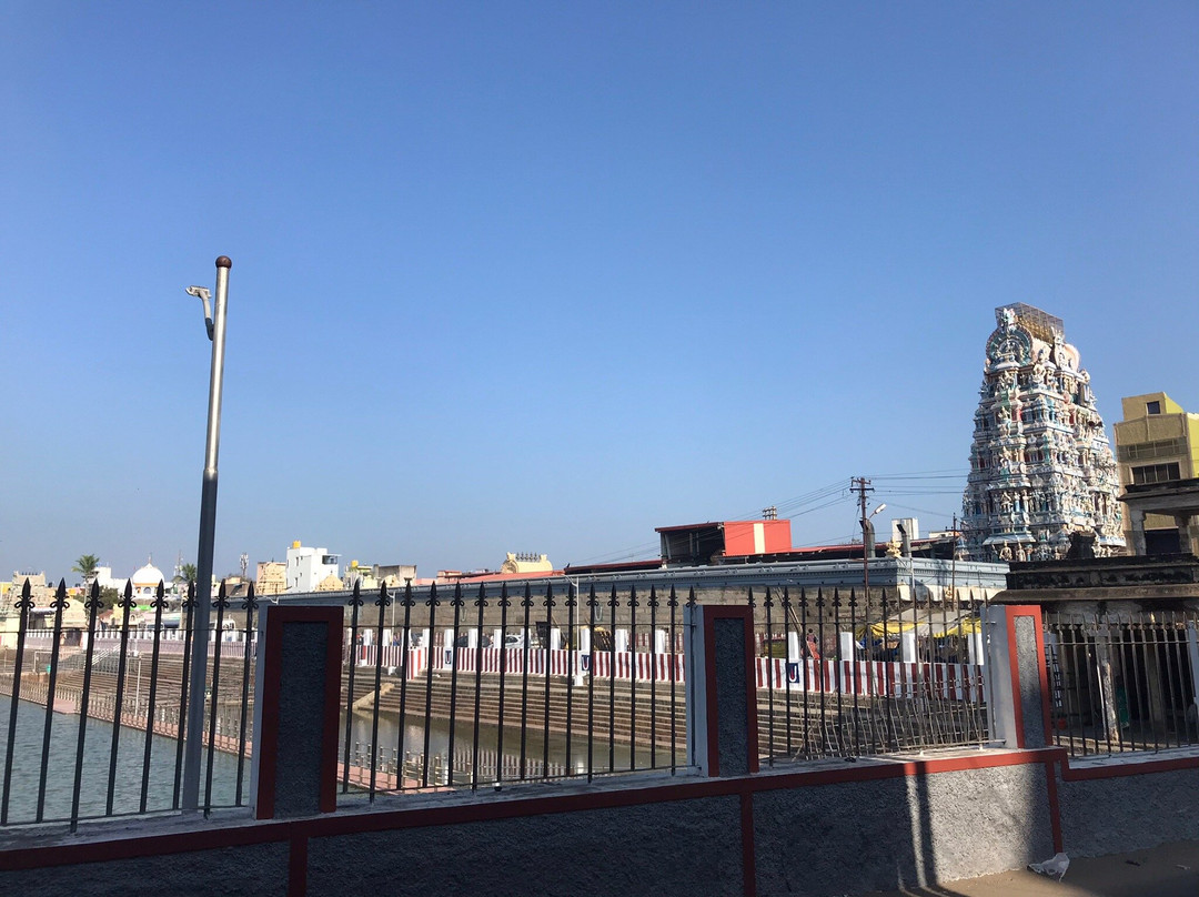 Lord Veeraraghava Perumal Temple景点图片