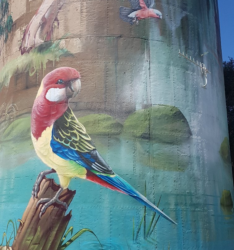 Lockhart Water Tower Mural景点图片