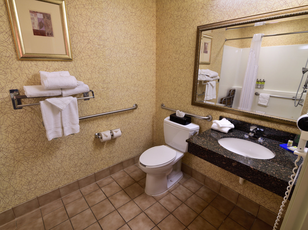 Holiday Inn Express & Suites Idaho Falls by IHG主图