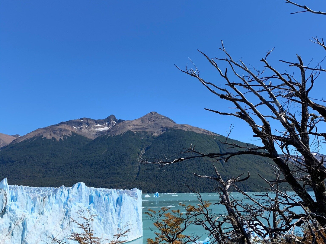 Los Glaciares景点图片