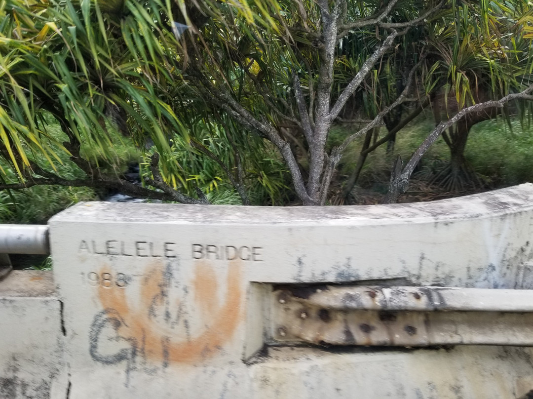 Alelele Bridge景点图片
