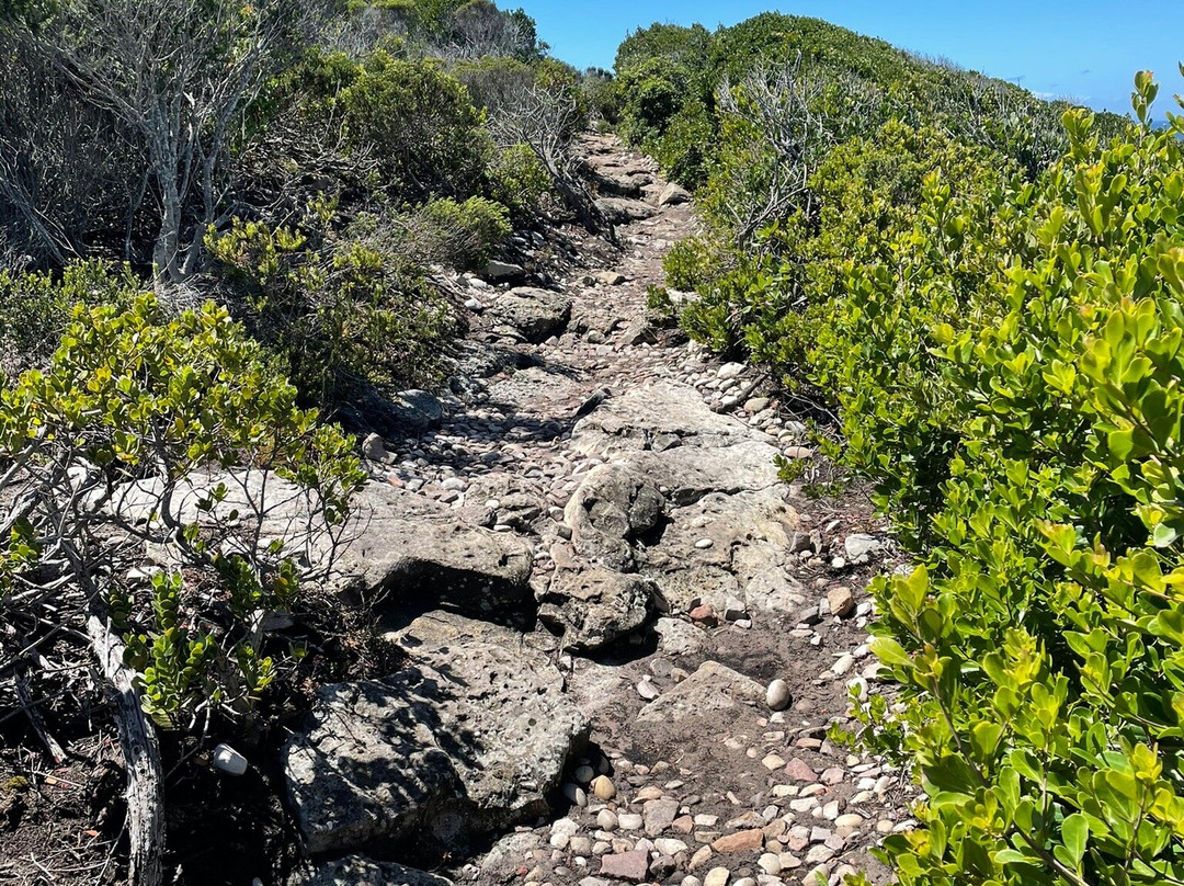 Harkerville Saturday Village Market-普利登堡湾必去景点