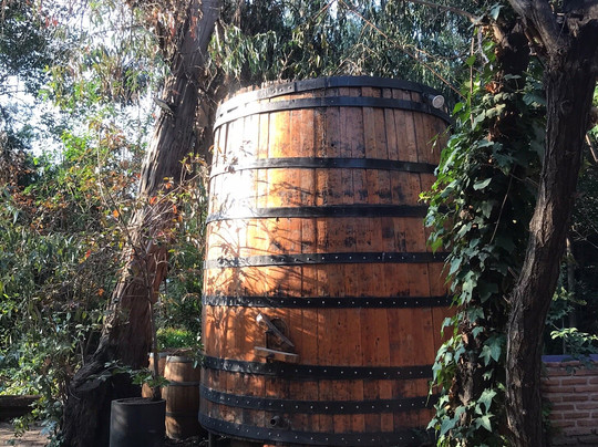 Hotel Acacias De Vitacura主图