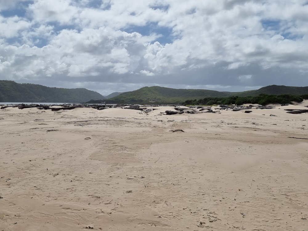 Pieman River Cruise-Corinna必去景点