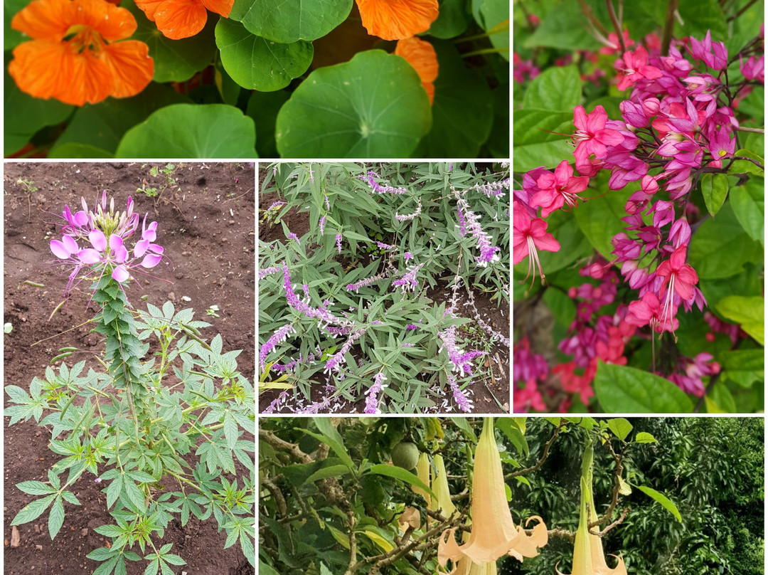 布格塞拉小屋酒店主图