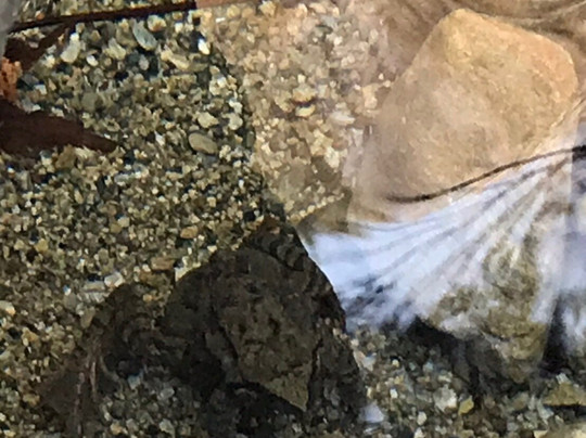 Hossawa Falls-桧原村必去景点