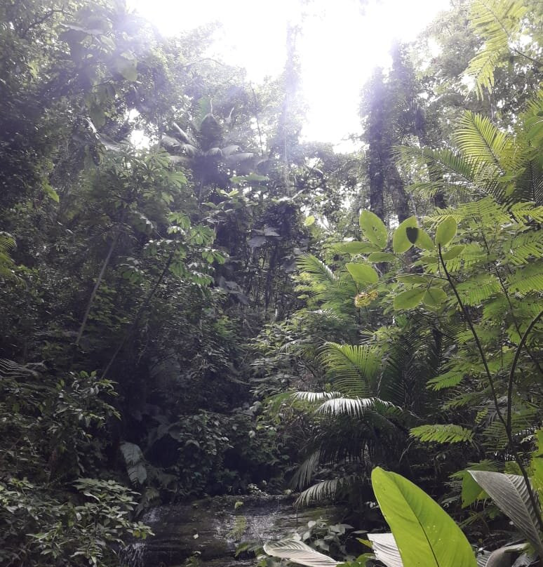 Parque Estadual de Nova Baden-Lambari必去景点