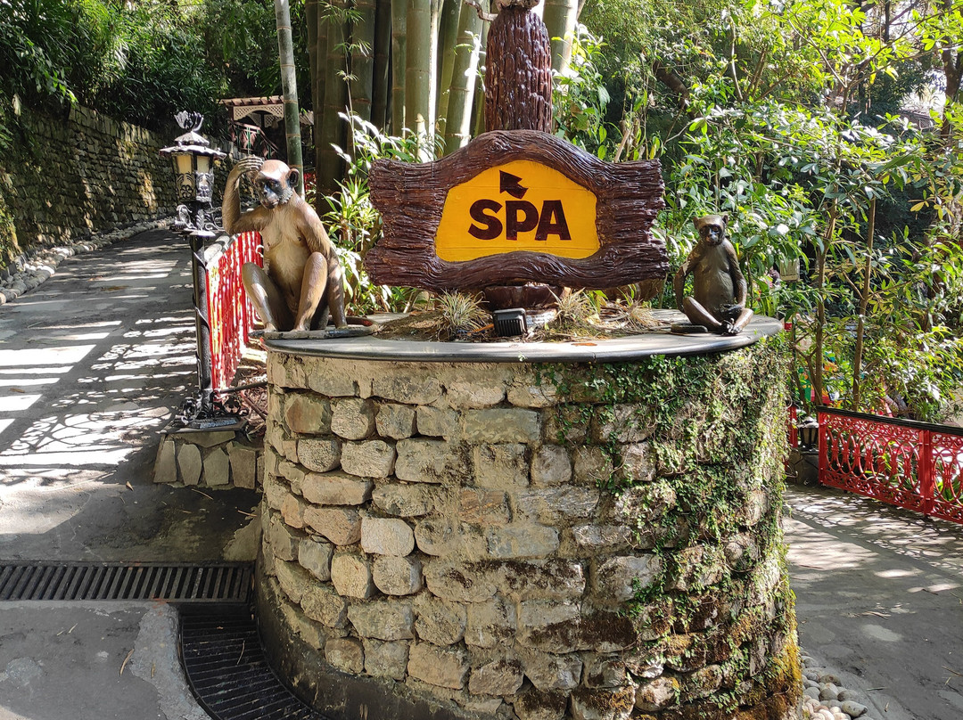 Mayfair Spa Resort & Casino, Gangtok主图