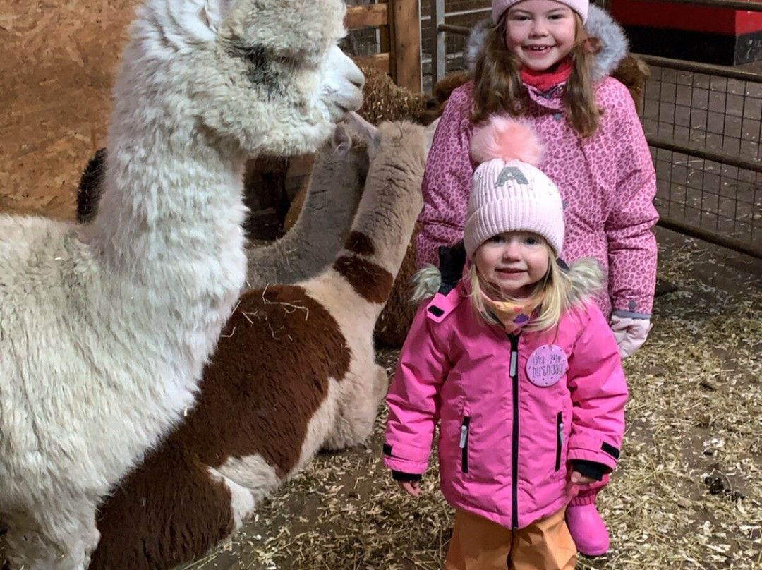 The Alpaca Trekking Centre-斯特灵必去景点