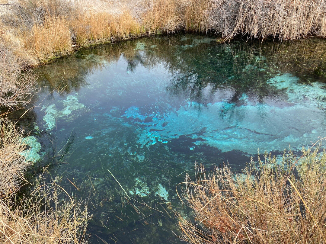 Ash Meadows National Wildlife Refuge景点图片