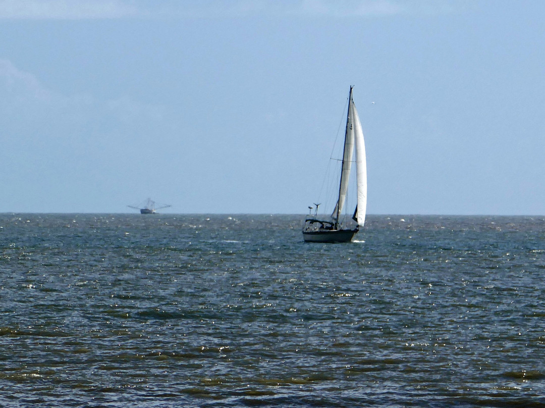 Fishing Pier-圣西蒙斯岛必去景点