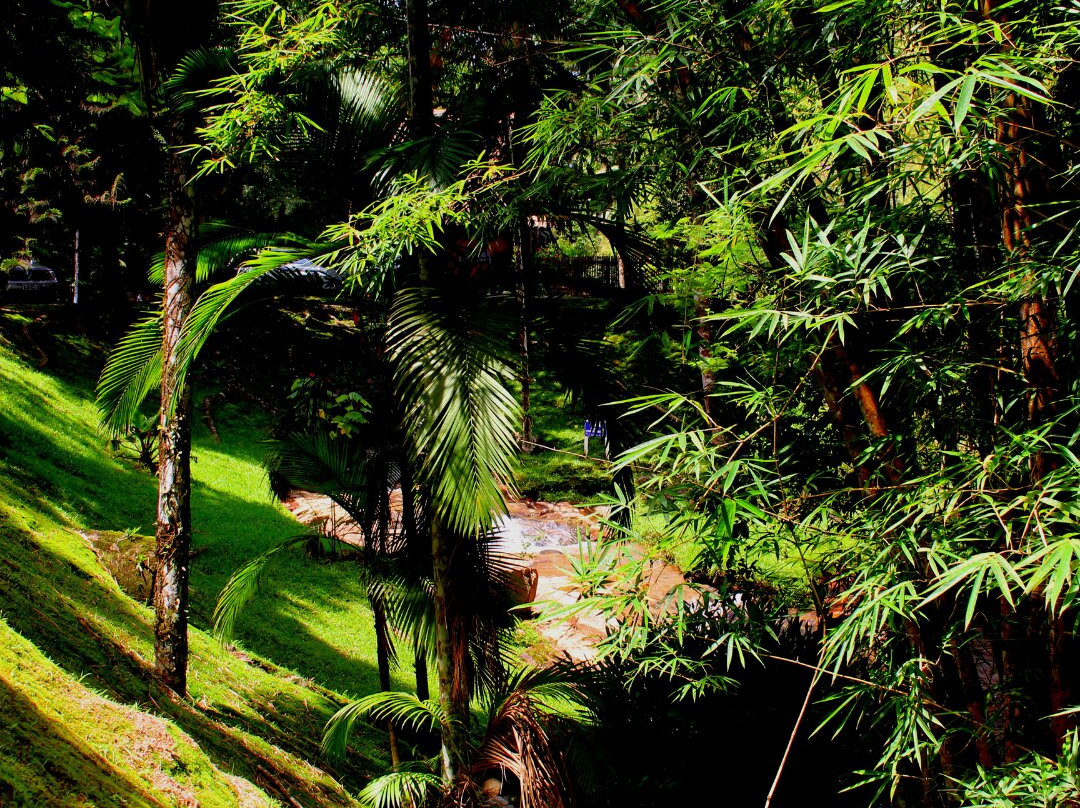 Parque Aquático Cascata Berlin-Gaspar必去景点