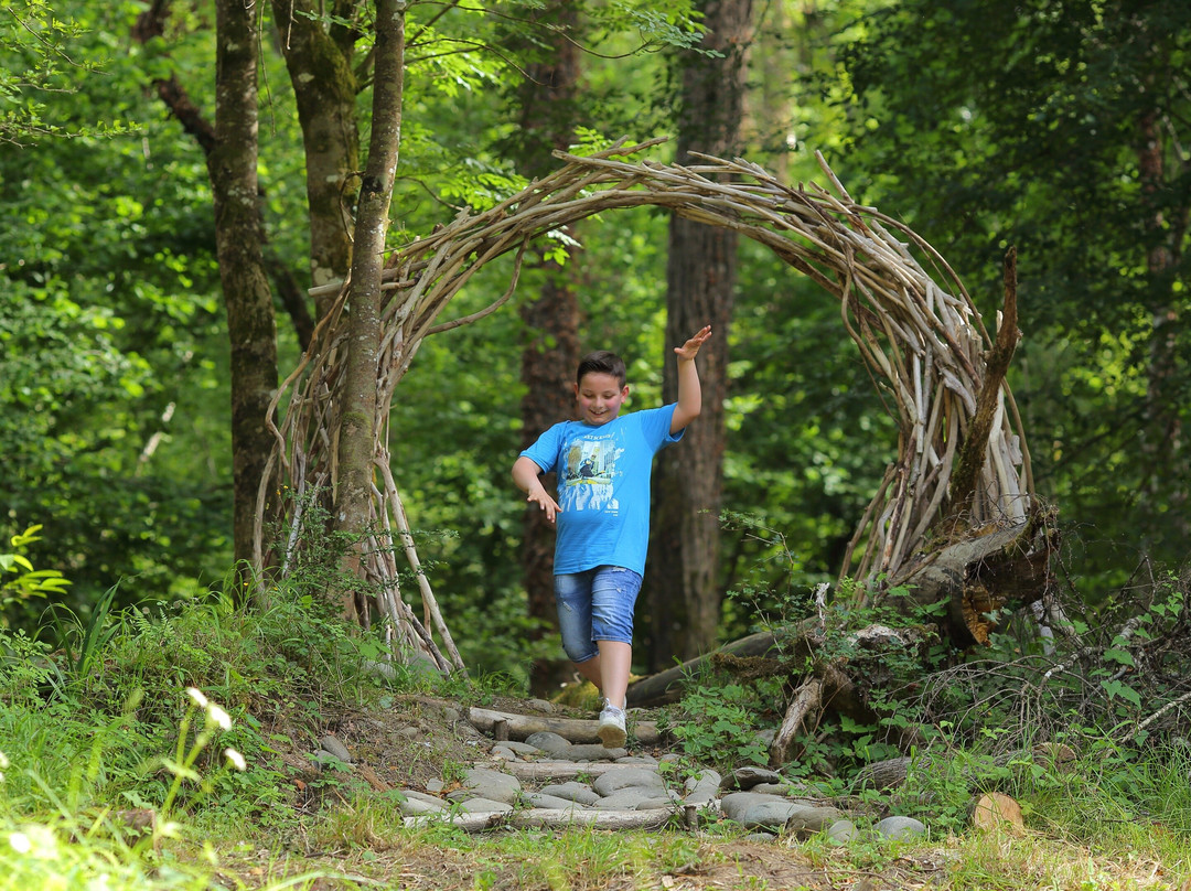 Kids Forest景点图片