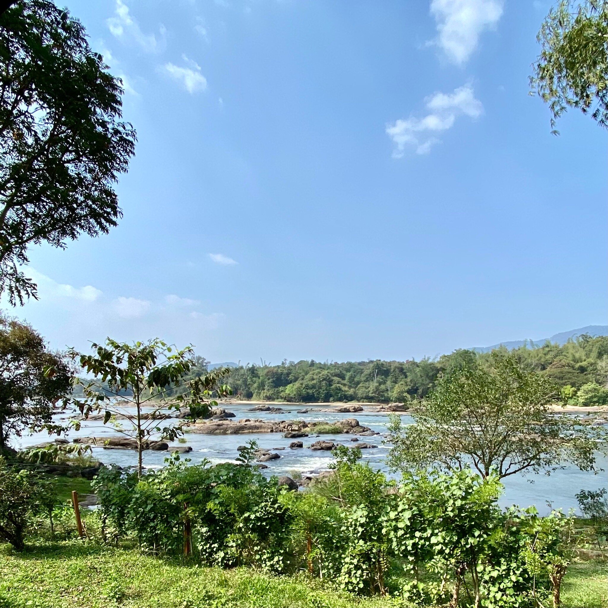 Quiet by the River, CGH Earth-官方