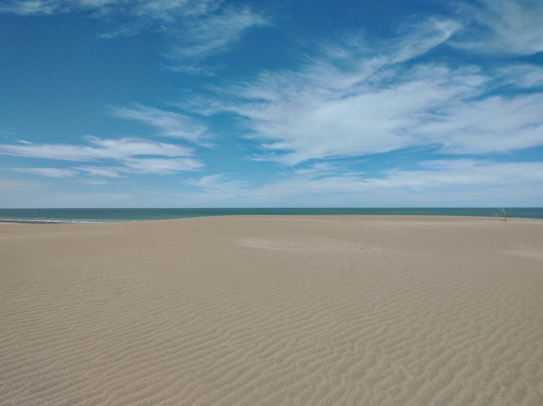 Reserva Natural Pehuen Co - Monte Hermoso-Monte Hermoso必去景点