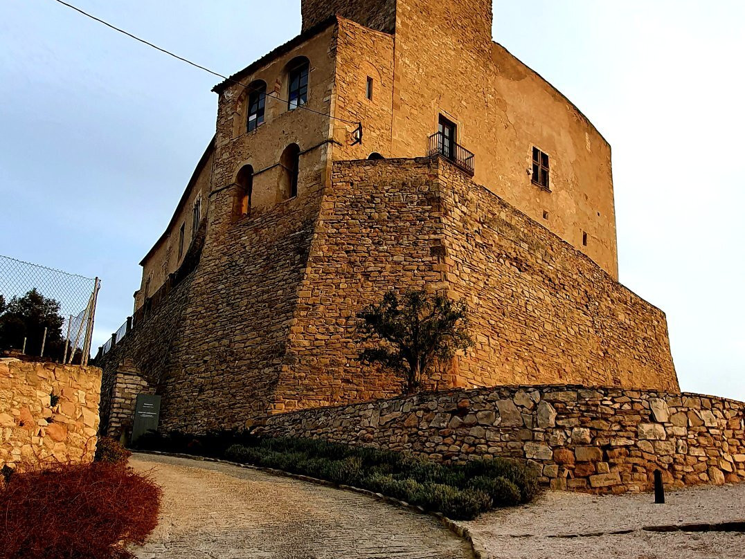 Església Parroquial de Sant Martí de Tous-Sant Marti de Tous必去景点