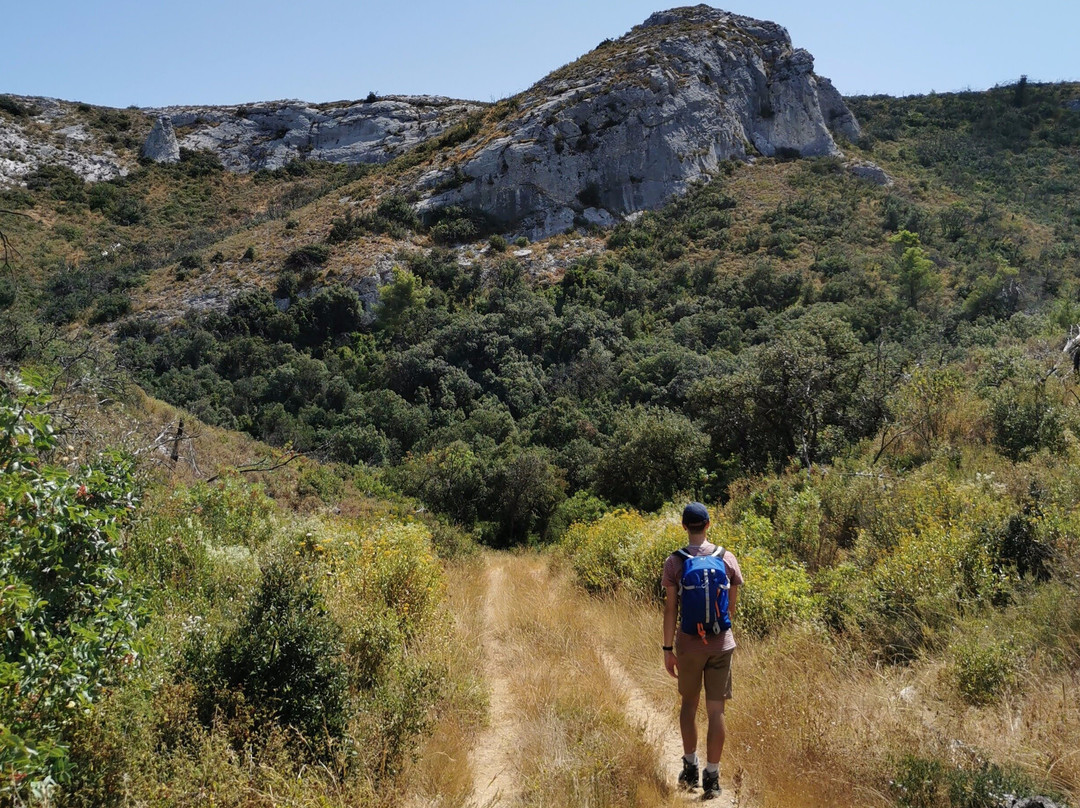 Hike Provence-阿维尼翁必去景点