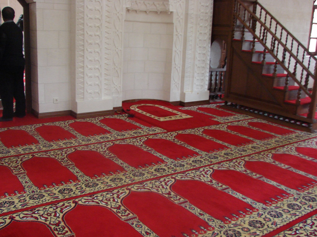 Medi Şeyh Camii ve Türbesi-Darende必去景点
