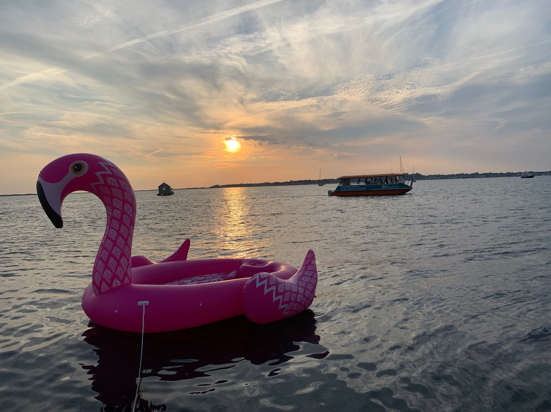 Long Point Shuttle-普罗温斯敦必去景点