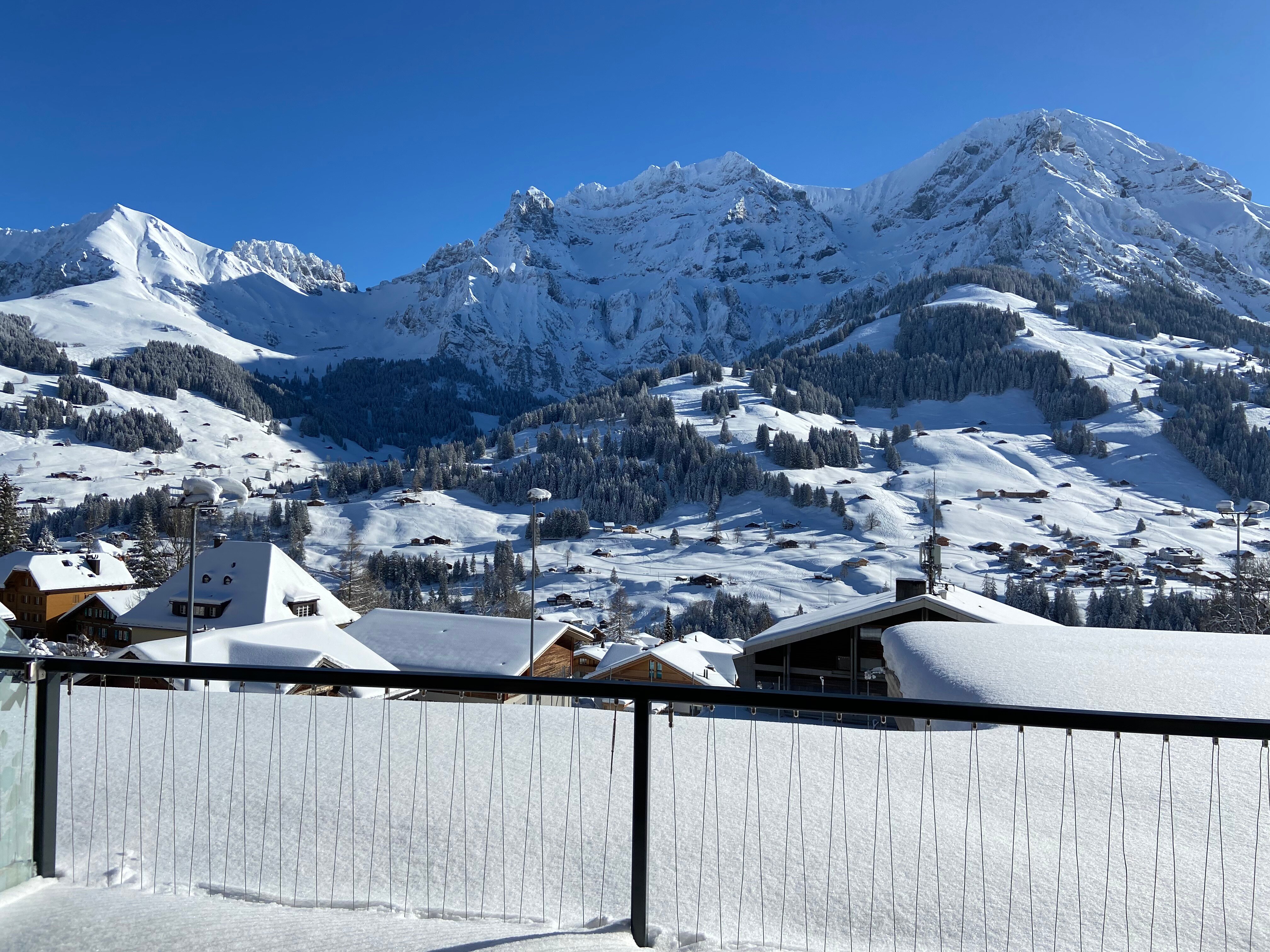 Adler Adelboden-酒店景观