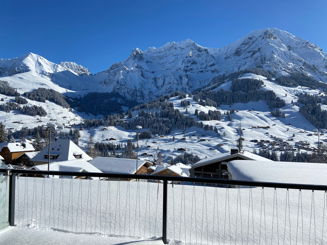 Adler Adelboden主图